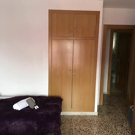 Homely La Mata Centro 아파트 또레비에하