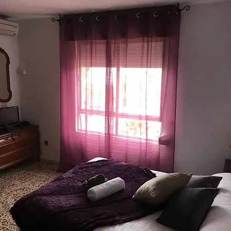 아파트 Homely La Mata Centro 또레비에하