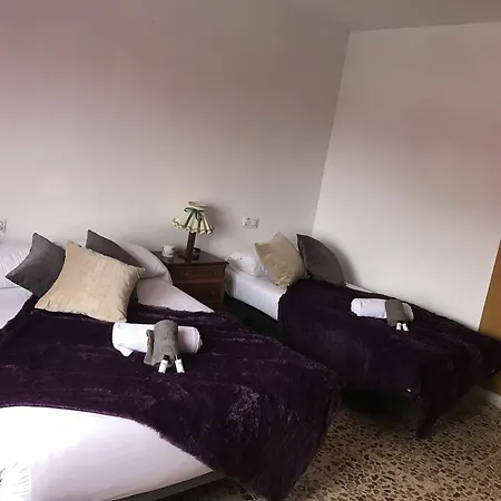 Homely La Mata Centro Appartement